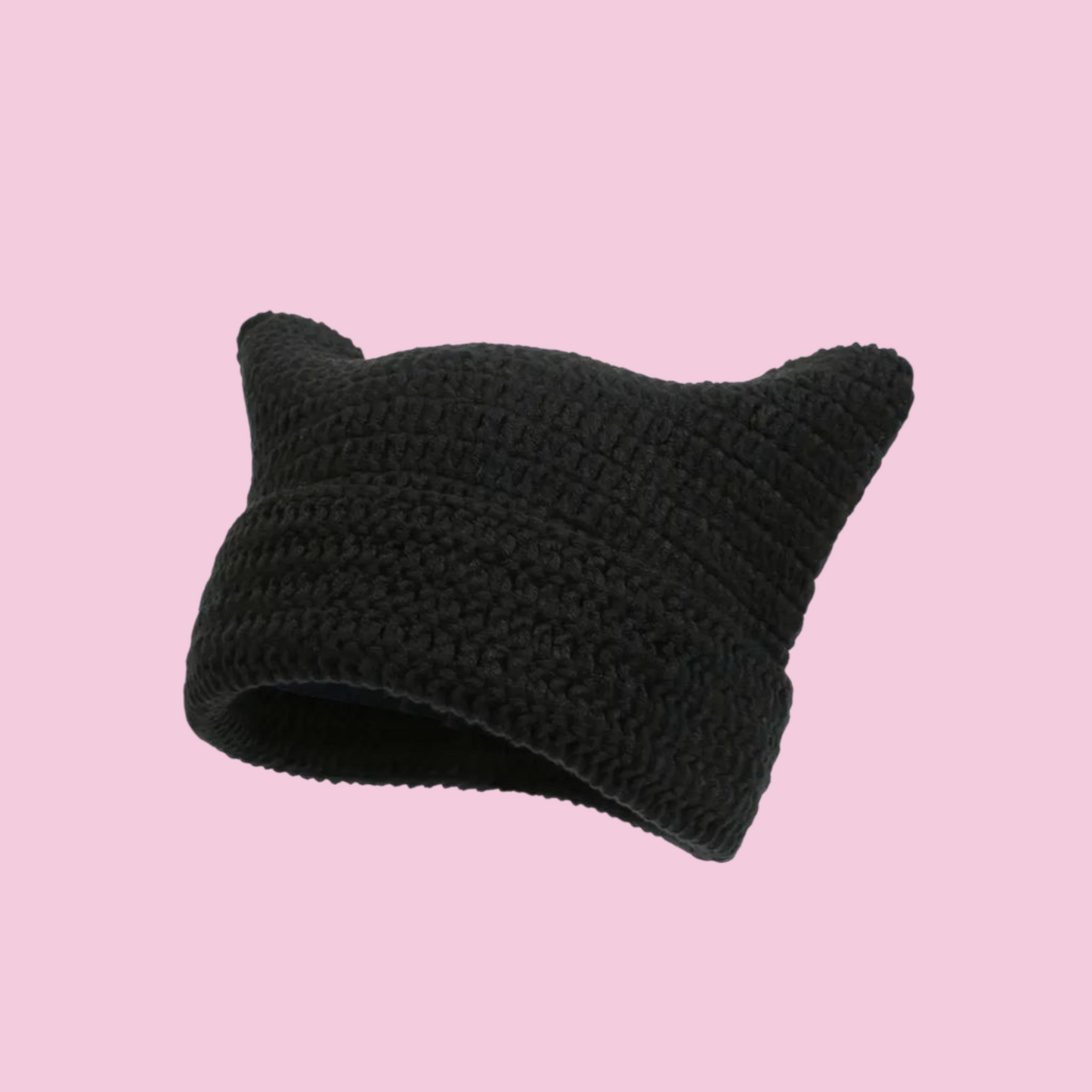 Cat Hat Beanie